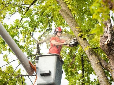 Advanced Tree Service